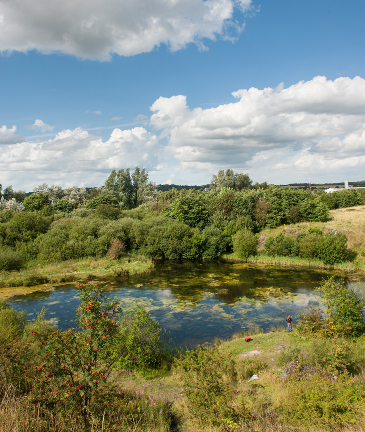 Kirkless Nature Reserve